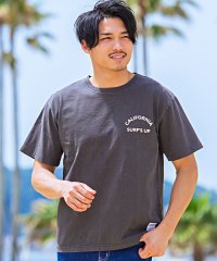 CavariA/CavariA Tシャツ メンズ 半袖 ブランド プリント カットソー ホワイト ネイビー ブラック 黒 白 紺 ユニセックス クルーネック M L XL/503512799