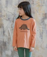 その他系2(ステゴザウルス×キャラメル)