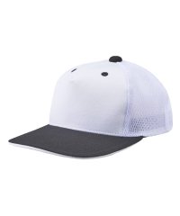 DESCENTE/【BASEBALL】フロントパネルキャップ/503513744