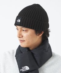 green label relaxing/＜THE NORTH FACE＞ロゴ ビーニー/503712546
