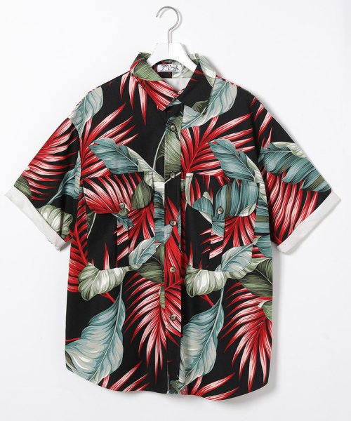【JUNGLE】 KAILO