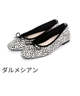 その他(ダルメシアン)