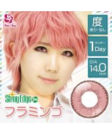 その他系2(フラミンゴ)