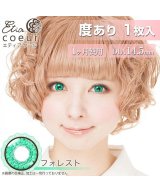 その他系2(フォレスト)