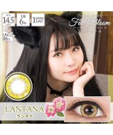 その他系2(ランタナ)