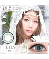 その他系3(リリー)