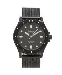 SKAGEN/スカーゲン 腕時計 レディース FISK 38MM メッシュ SKAGEN SKW2917 ブラック/503870697