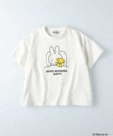 オフシロ