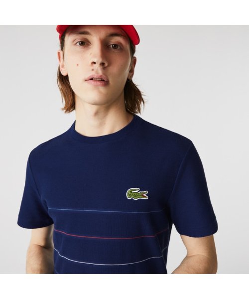 セール 切り替えピンボーダーオーガニックコットンtシャツ ラコステ メンズ Lacoste Mens D Fashion