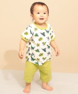 その他(002-ピスタチオ)