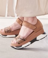 ブラウン