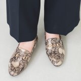 その他(パイソン)