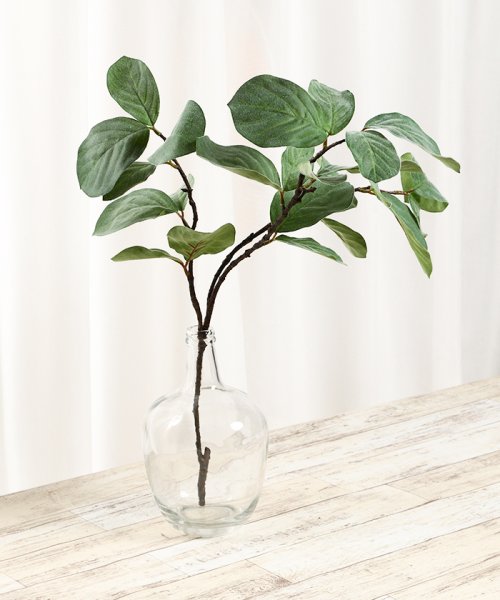 ベンガレンシス フェイクインテリアグリーン 観葉植物 瓶付き アーティフィシャルフラワー 高級造花 お手入れ簡単 プアラニ Pualani D Fashion ベンガレンシス フェイクインテリアグリーン 観葉植物 瓶付き アーティフィシャルフラワー 高級造花 お手入れ簡単 プアラニ Pualani D Fashion