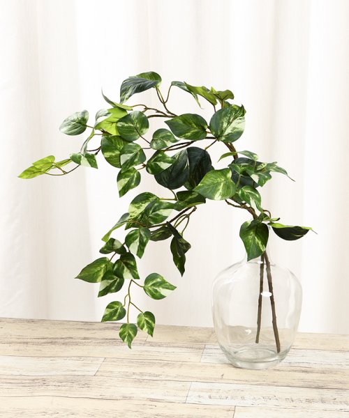 ポトス フェイクインテリアグリーン 観葉植物 瓶付き アーティフィシャルフラワー 高級造花 お手入れ簡単 プアラニ Pualani D Fashion