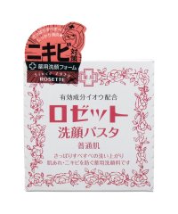 ROSETTE/ロゼット　洗顔パスタ　普通肌/503954108