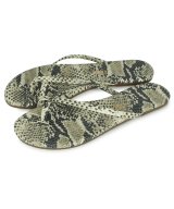 その他(1-SAND SNAKE)