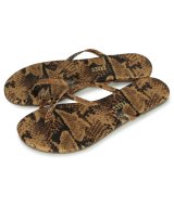 その他系1(2-COCO SNAKE)
