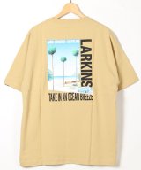ベージュ