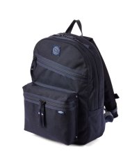 Porter Classic/ポータークラシック PORTER CLASSIC ポータークラシック ニュートン ムアツ リュック デイパック 疲れない 負担軽減 Sサイズ/A4/11.5L /503978337