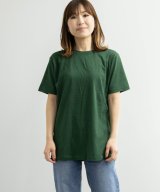 その他系1(FOREST)