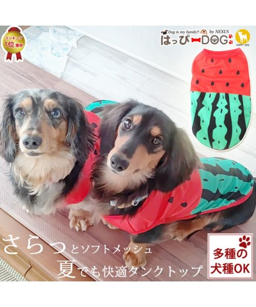 セール 犬 服 犬服 犬の服 タンクトップ フルーツ スイカ柄 ソフトメッシュ ドッグウェア 春 夏 春夏 毛抜け防止 毛落ち防止 おしゃれ 可愛い 女の子 男の子 はっぴーdog Happy Dog D Fashion セール 犬 服 犬服 犬の服 タンクトップ フルーツ スイカ柄 ソフトメッシュ ドッグウェア 春 夏 春夏 毛抜け防止 毛落ち防止 おしゃれ 可愛い 女の子 男の子 はっぴーdog Happy Dog D Fashion