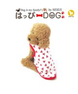 その他系3(スイカ)