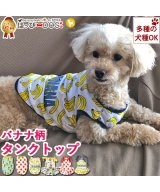 ライトブラウン系1