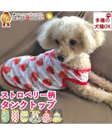 ライトブラウン系2