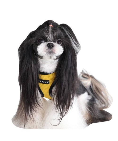 セール ハーネス Puppia パピア 正規品 ソフトベストハーネス マジックテープ 胴輪 犬服 犬 服 犬の服 ドッグウェア 犬服冬 防寒 暖かい 秋冬 冬服 冬 はっぴーdog Happy Dog D Fashion