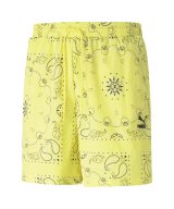 CELANDINE-AOP