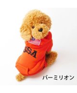 その他(バーミリオン)