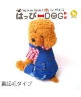 レッド系1