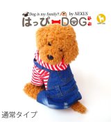 レッド系2