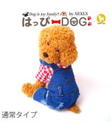 レッド系3