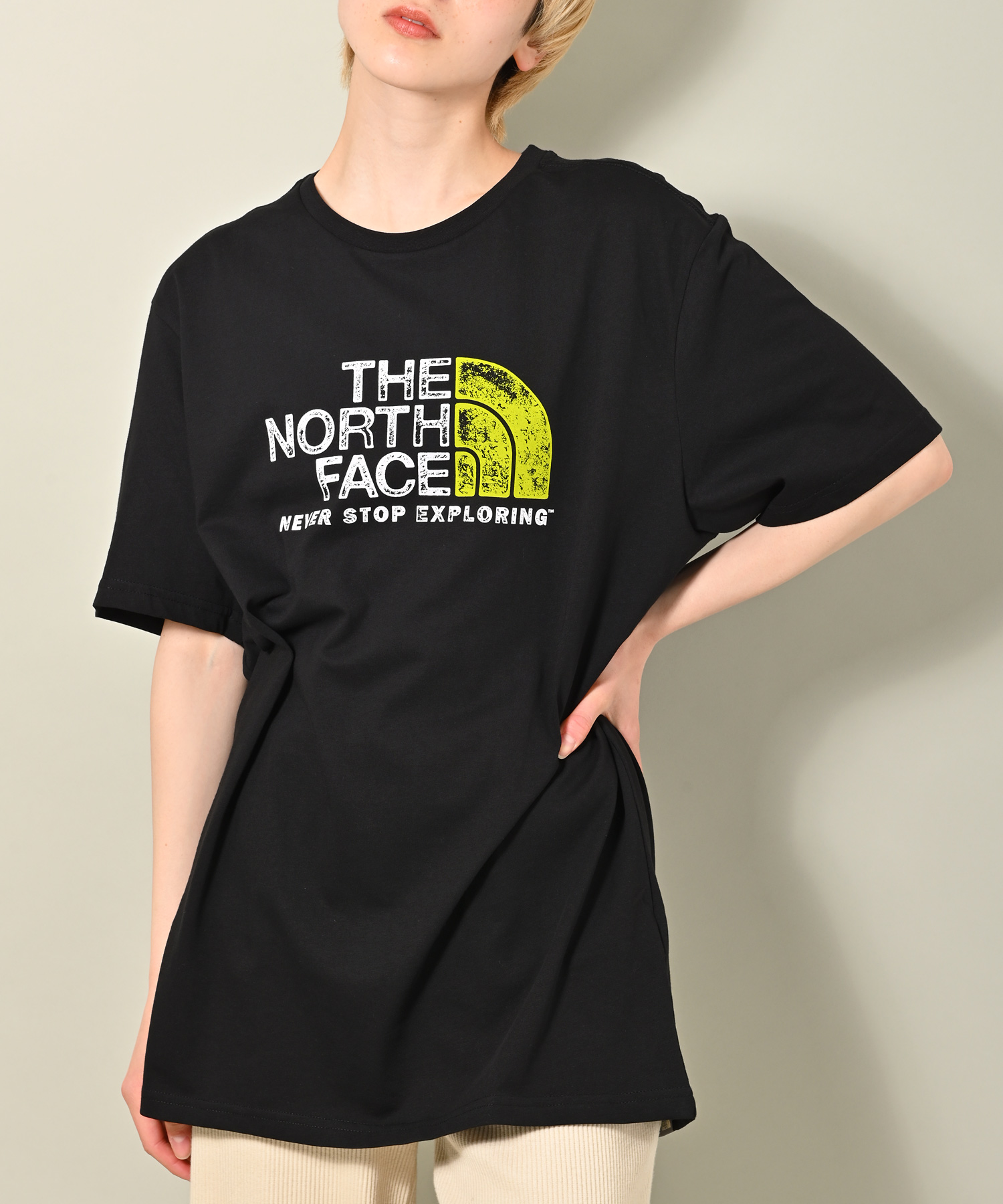 THE NORTH FACE ノースフェイス RUST 2 TEE 半袖Tシャツ(503197490 