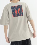 キナリ系1