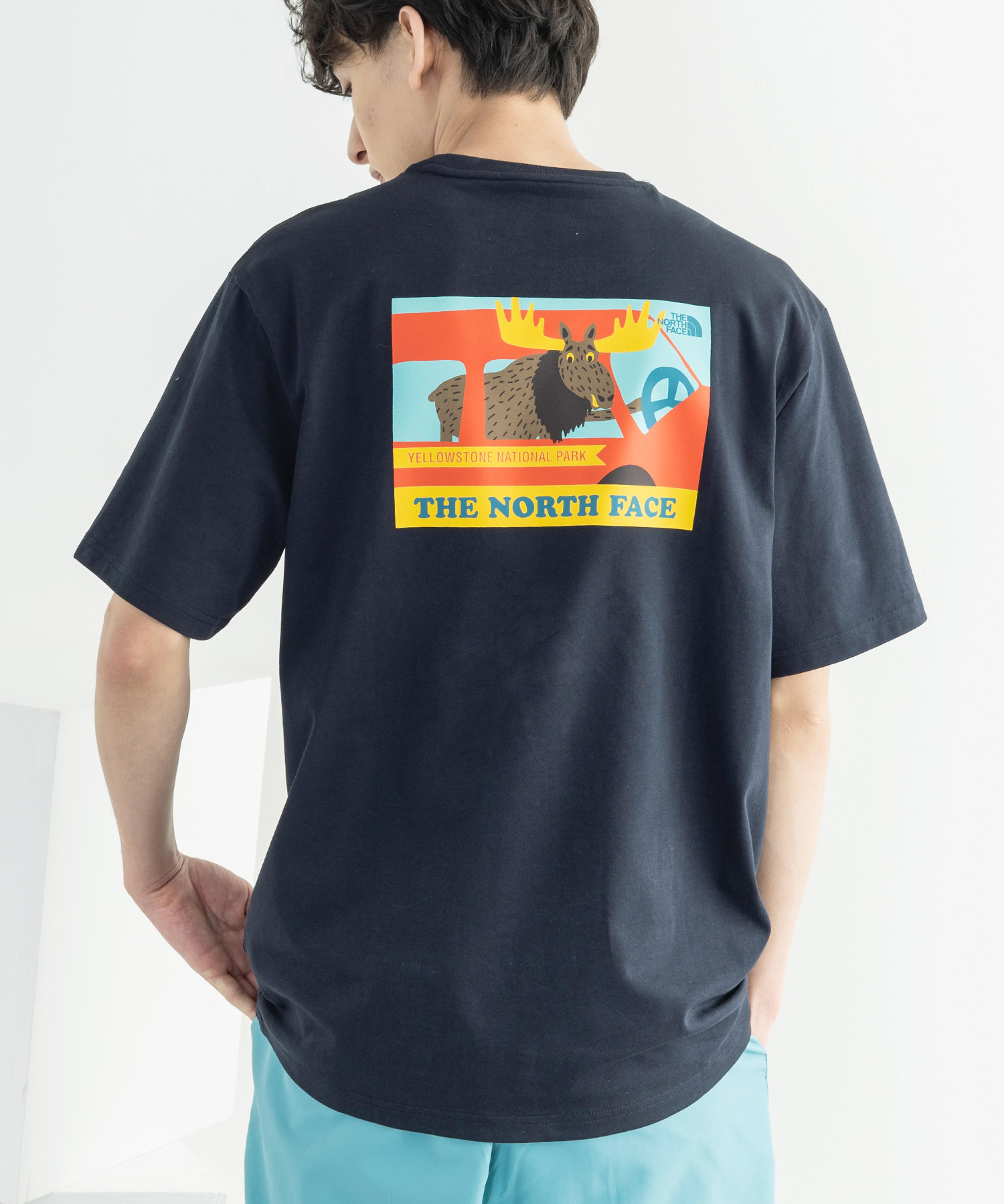 THE NORTH FACE ノースフェイス 半袖Tシャツ ハーフドームロゴ バック