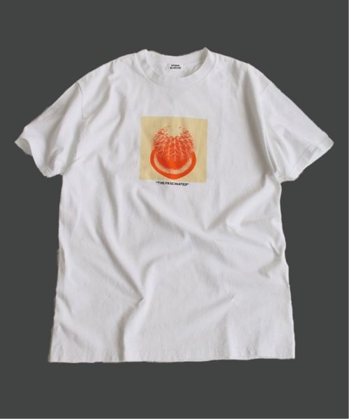 セール 30 Off The Fascinated Studio Blanche スタジオブランシュ サボテンteeシャツ ジャーナルスタンダード レリューム メンズ Journal Standard Relume Men S D Fashion セール 30 Off The Fascinated Studio Blanche スタジオブランシュ サボテンteeシャツ ジャーナルスタンダード レリューム メンズ Journal Standard Relume Men S D Fashion
