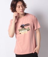 ピンク