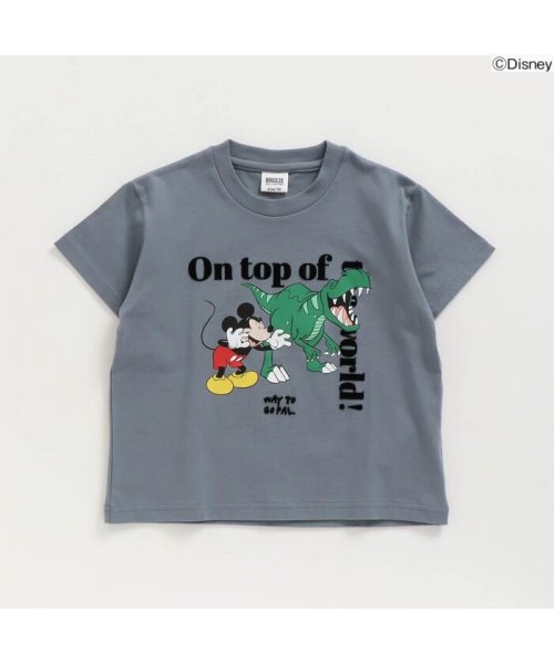 セール Off ディズニーキャラクター恐竜ｔシャツ ブリーズ Breeze D Fashion