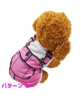 その他系2(C)