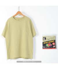 1111clothing/◆フルーツオブザルーム ヘビーウェイト パックTシャツ◆ tシャツ メンズ tシャツ レディース パックt 無地t 厚手 半袖tシャツ トップス 半袖 tシャツ/504087779