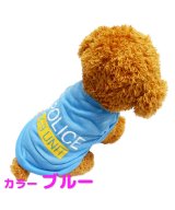 ブルー
