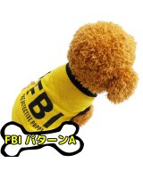 その他(FBIパターンA)