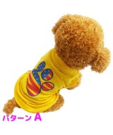 その他(パターンA)