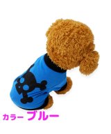 ブルー