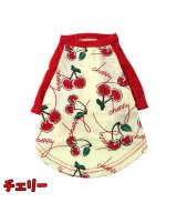 その他系2(チェリー)