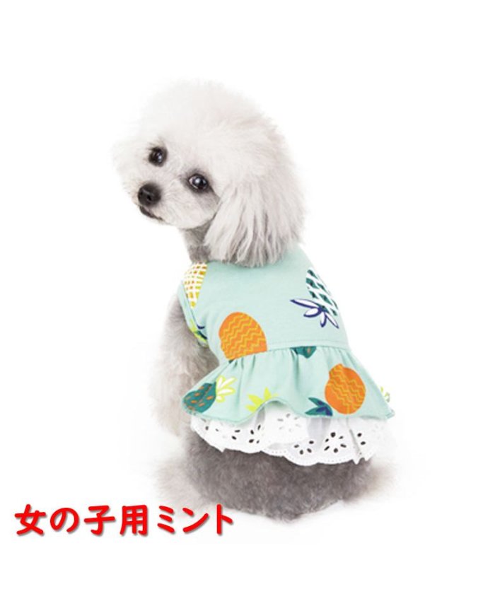 犬 服 かわいい 男の子の人気商品 通販 価格比較 価格 Com