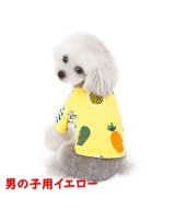 イエロー系1