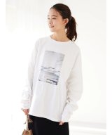 その他系7(H)
